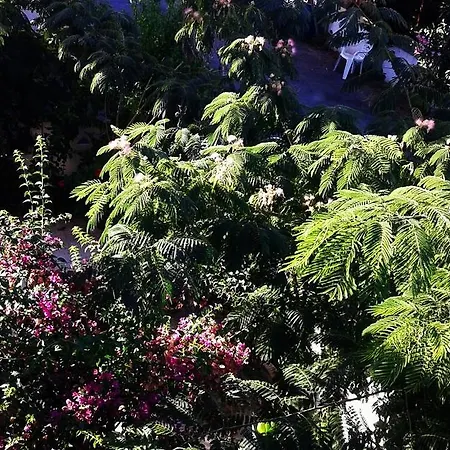 Yaseminin Misafirhanesi Apartment Ozdere